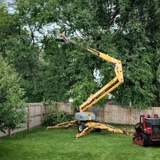 Artificial Turf Installation in Corning, NY